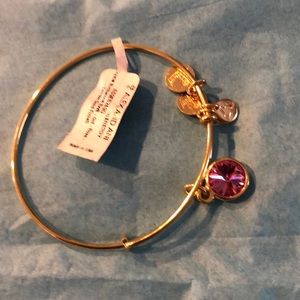 Alex and Ani Pink Birthstone bracelet